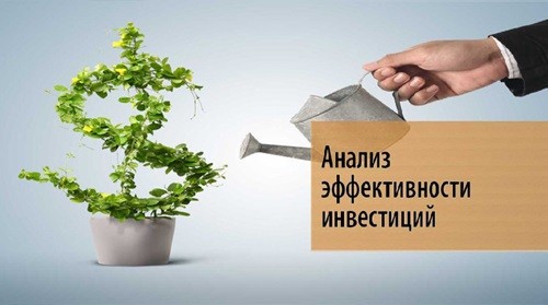 Инвестиционная оценка и привлекательность Анализ эффективности инвестиций